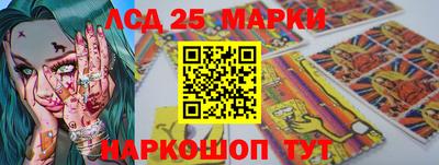 сатива Новозыбков
