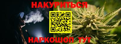 сатива Новозыбков