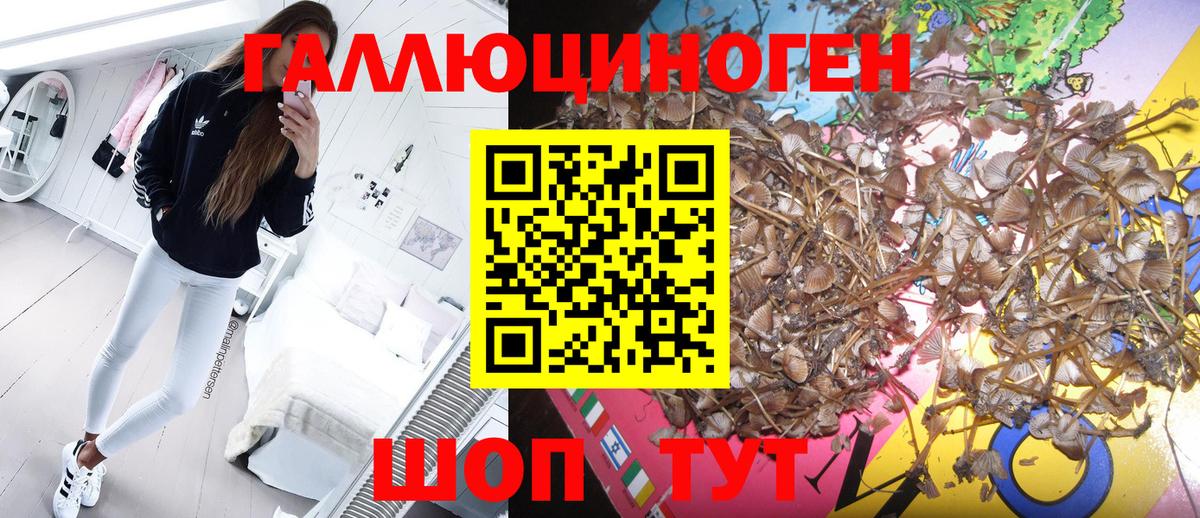 Галлюциногенные грибы MAGIC MUSHROOMS  Вход с VPN  Галлюциногенные грибы ЛСД  Фролово 