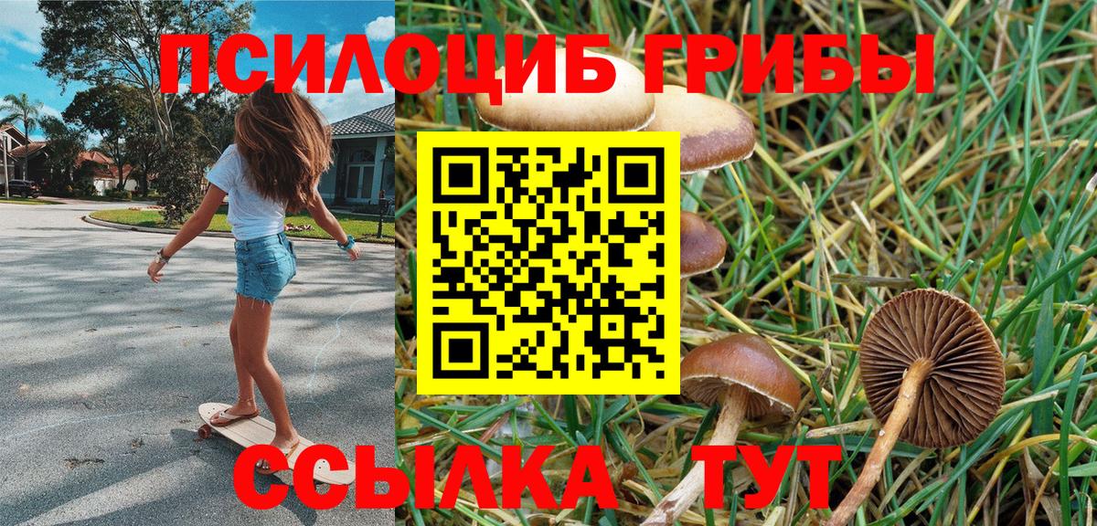Псилоцибиновые грибы прущие грибы Фролово